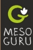 Компания "Mesoguru"