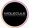 Компания "Molecule"
